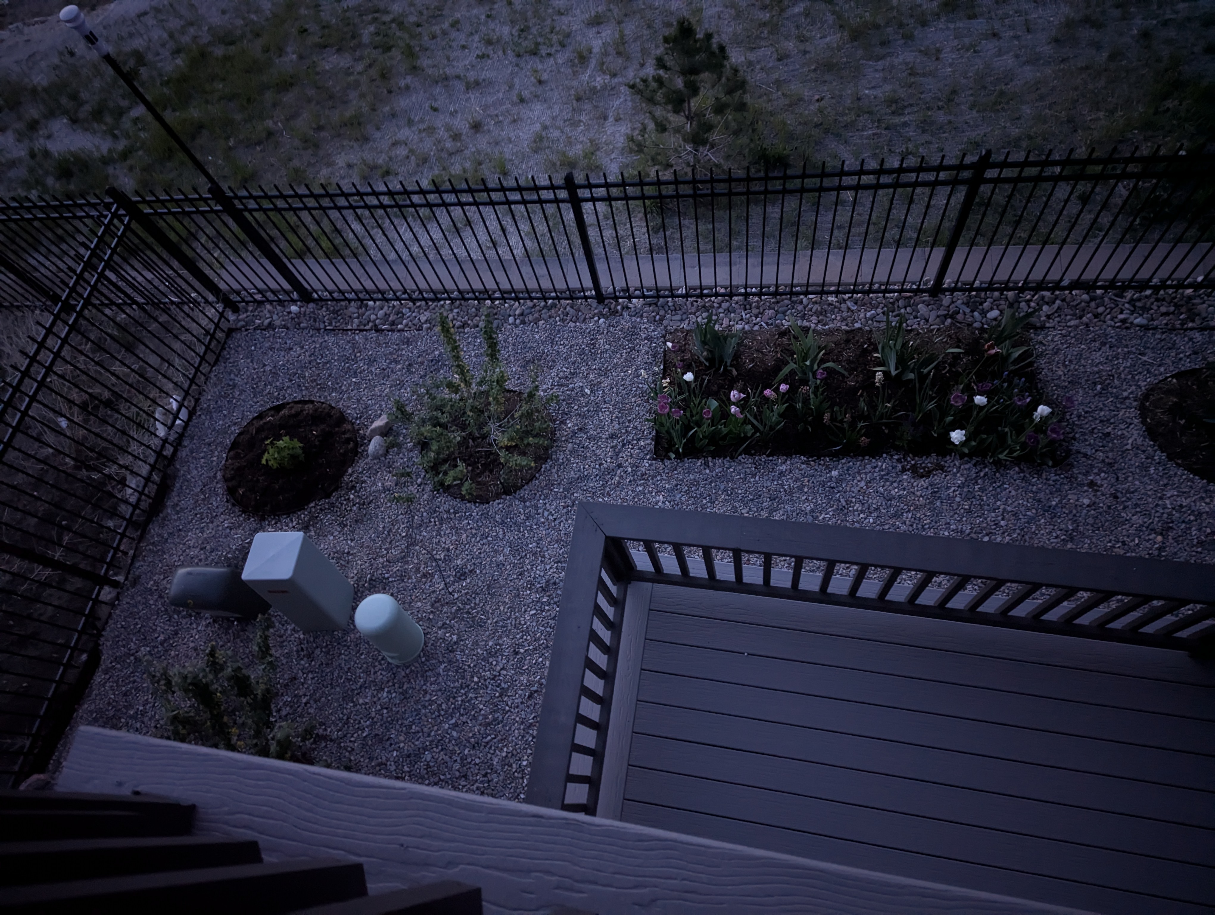 Garden, Flowers, Morrison, Colorado